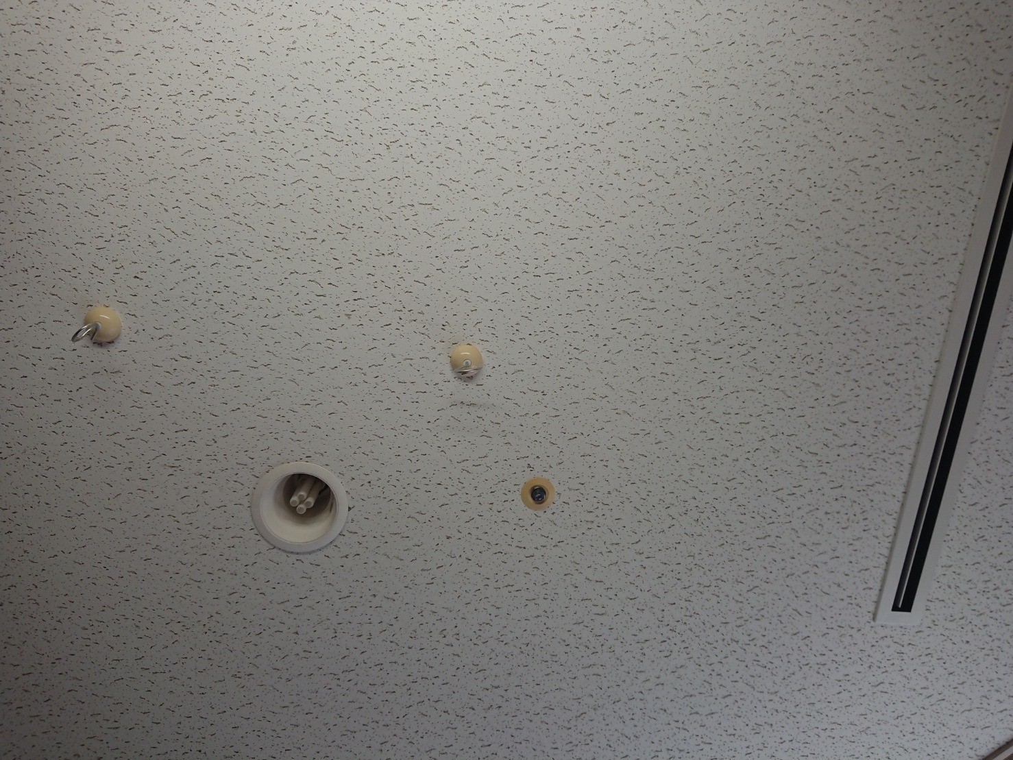 たる 知らない天井 こくだハイク